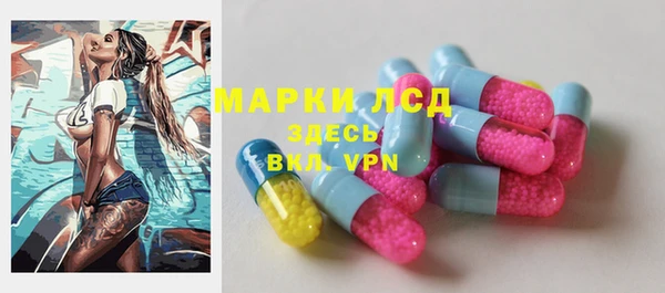 ешки Новозыбков