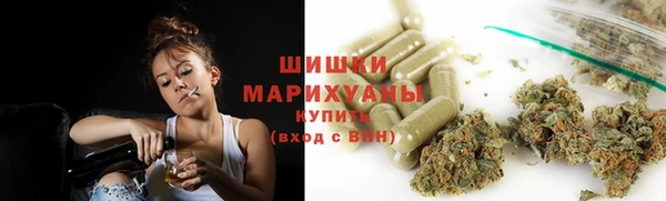 ешки Новозыбков