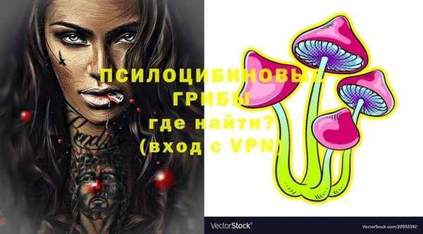 тгк Новодвинск