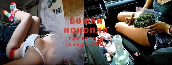 тгк Новодвинск