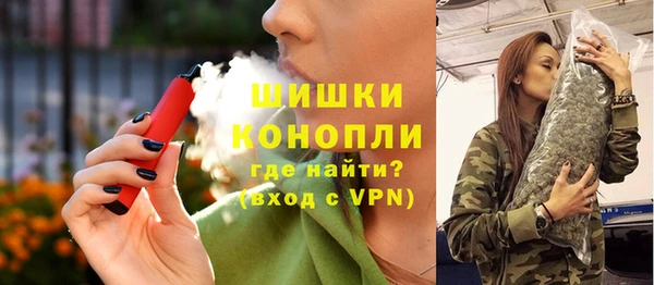 тгк Новодвинск