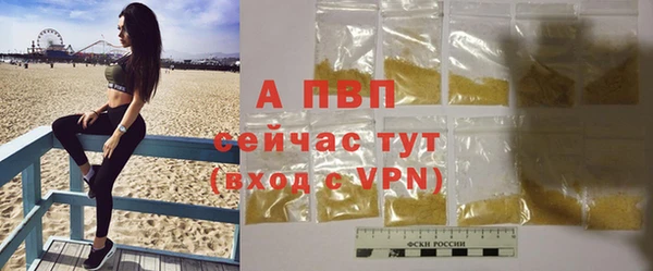 ешки Новозыбков
