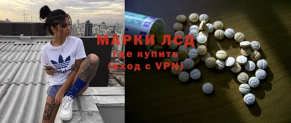 тгк Новодвинск