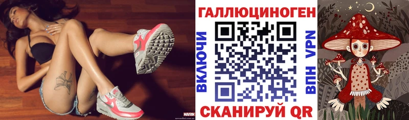 Галлюциногенные грибы GOLDEN TEACHER  блэк спрут вход  Куровское 
