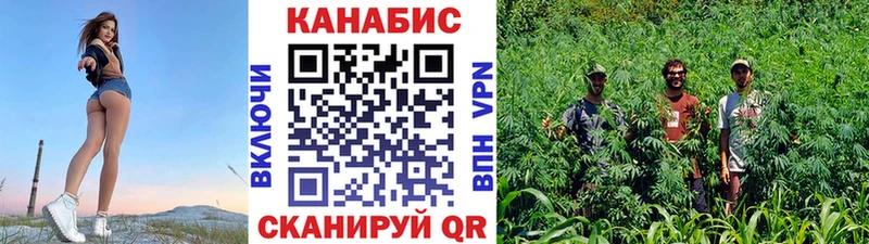 Бошки марихуана индика  Куровское 